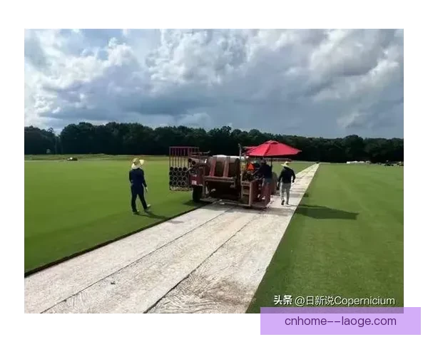 2026世界杯北美主办确认采用混合草坪系统引发球场科技升级关注